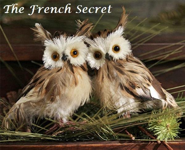 Свадьба - Chic Rustic Wedding 2 Feather Owl Ostrich Bird Cake Topper Decoration Centerpiece Ornament Christmas Home Floral Shabby French Country