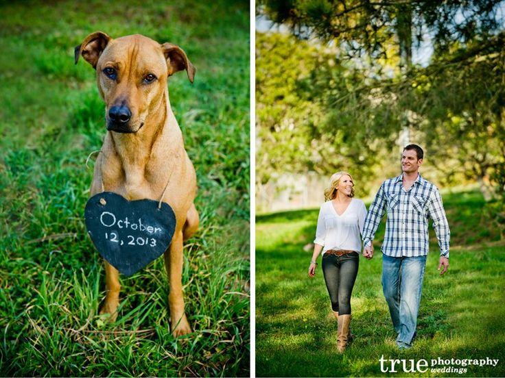 Свадьба - 10 Purr-fect Ways To Include Your Pets In Your Wedding
