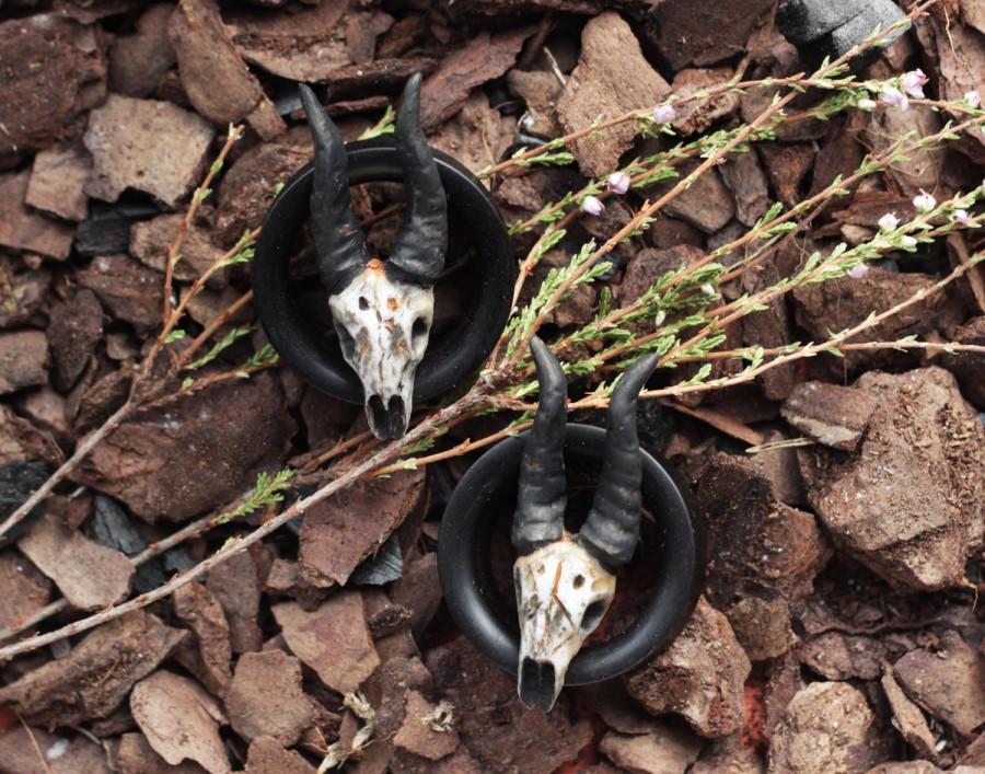 Hochzeit - goat skull plugs - antelope skull gauges - skull tunnel - animal skull - wood tunnel - ear plugs gauges - wood plugs - skull earrings - gift