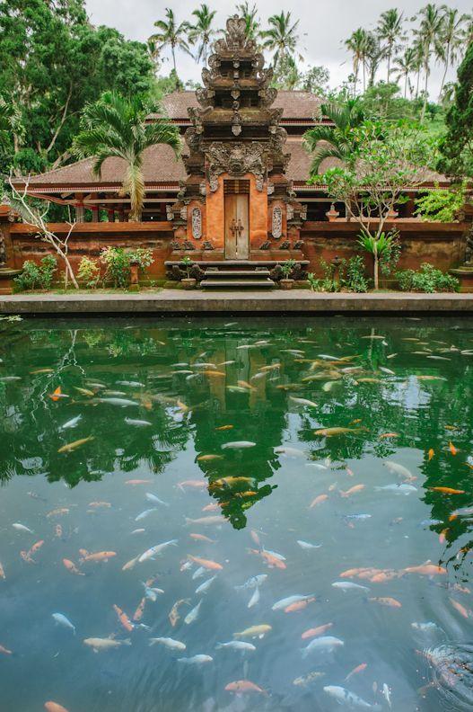 Mariage - Adventures To Tirta Empul... And America!