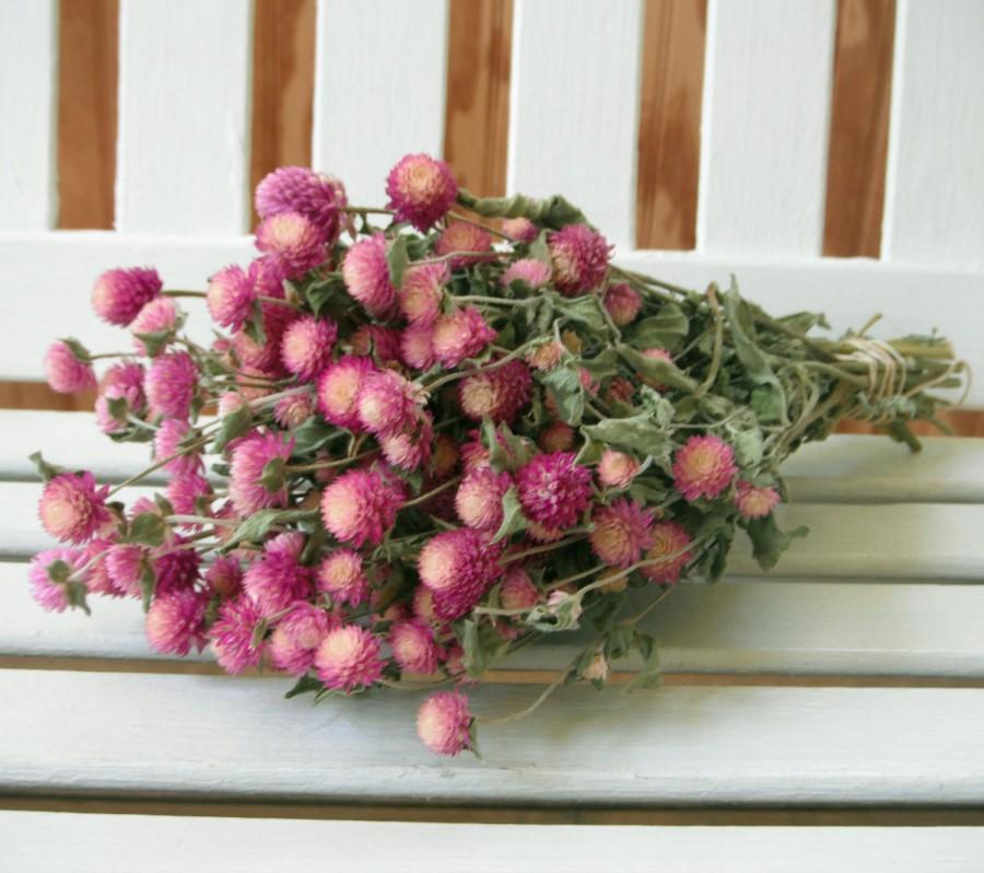 Wedding - DRIED FLOWERS bi-colored Lovely Rose pink / cream color Globe Amaranth Flowers gomphrena flower bunch, Prim, Wedding, Shabby cottage floral