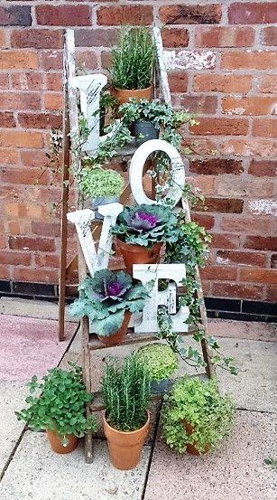 Hochzeit - Herb Gardening