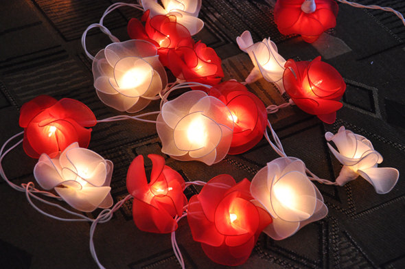 زفاف - Sweet Love tones flower string lights for Patio,Wedding,Party and Decoration (20 bulbs)