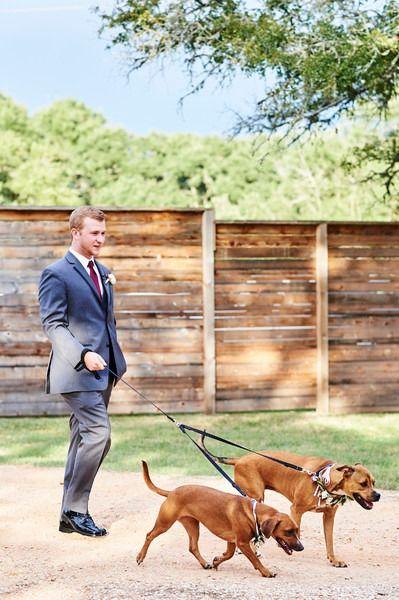Hochzeit - Wedding Pets