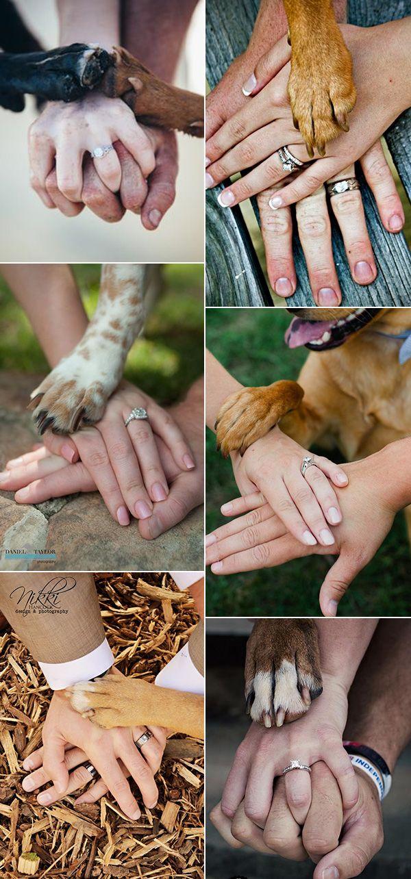 Mariage - 30 Precious Wedding Photo Ideas With Dogs