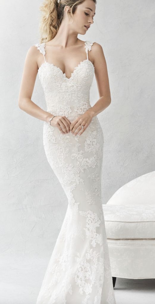 Mariage - Ella Rosa Wedding Dress Inspiration