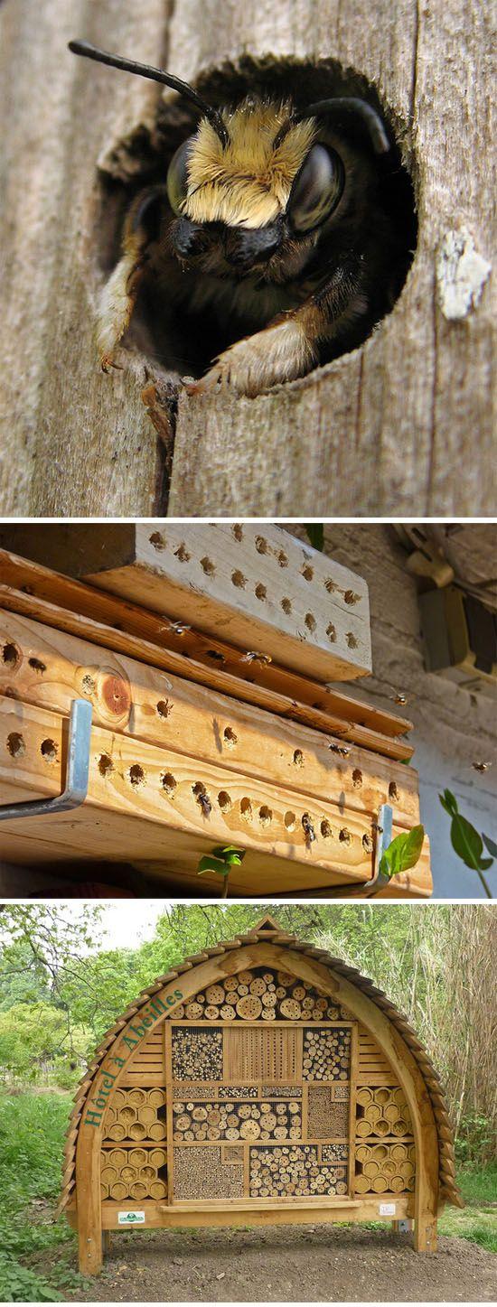 Mariage - The Bee Hotel - the hotel for bees