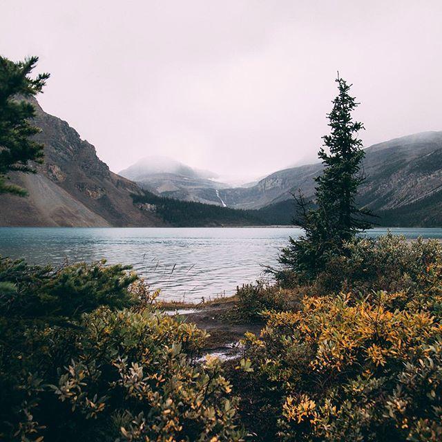 زفاف - Mona On Instagram: “The Last Of Fall. #banff #mountains”