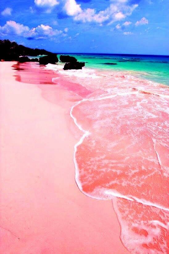 Hochzeit - Honeymoon Destinations - Pink Beach