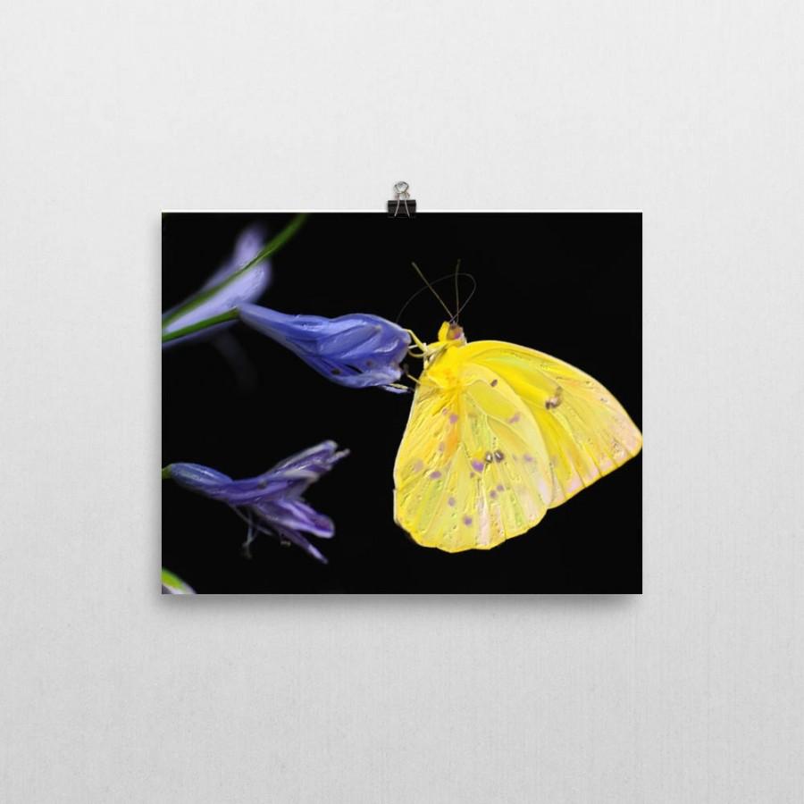 Wedding - Yellow purple butterfly wall print. Modern farmhouse decoration. College student dorm decor. Cottage chic art. Hand painted flying insect