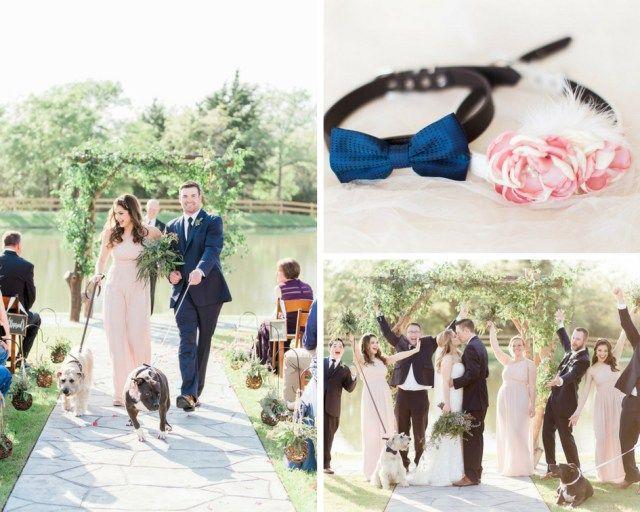 Hochzeit - 14 Lovely Dogs In Weddings For National Dog Day! Tips   Tricks