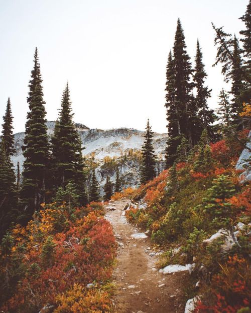 زفاف - A Fall Hike