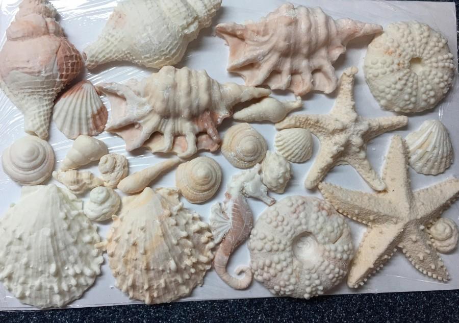 Свадьба - Edible seashells & Starfish (mixed sizes)