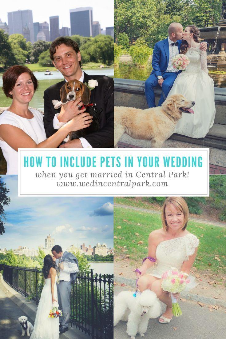 Hochzeit - How To Include Your Pet In Your Wedding