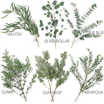 زفاف - Choose Your Own Eucalyptus Greenery Pack