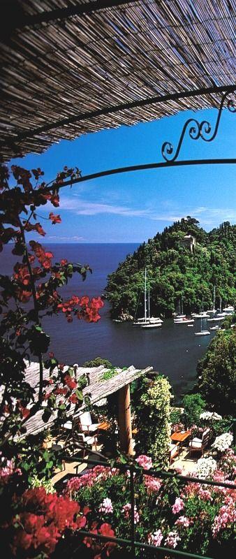Свадьба - Visit Portofino