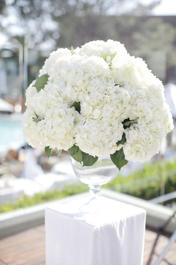 Свадьба - White Floral Decor