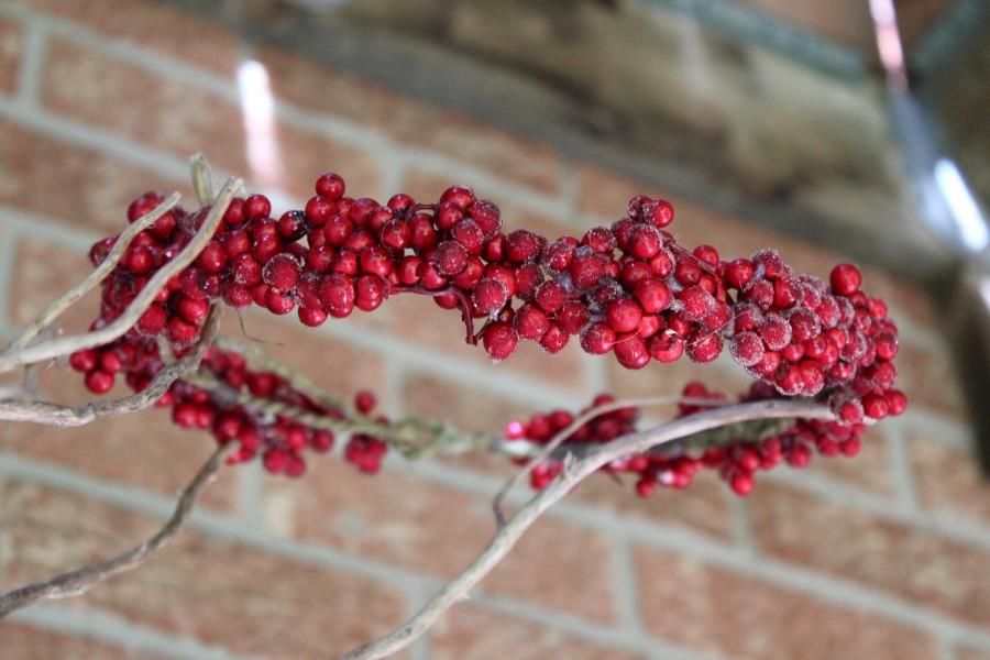 Wedding - Red Berry Crown, holiday crown, winter crown, christmas crown, holly crown, cranberry crown, flower crown, red juniper crown, cranberries