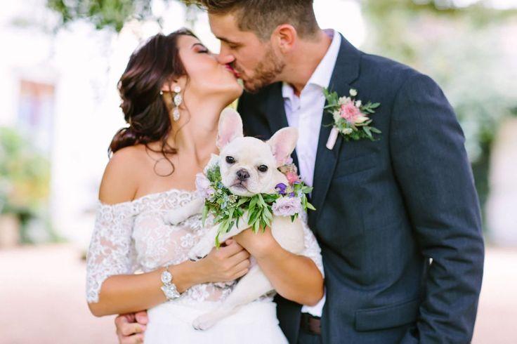 Mariage - Wedding Pets