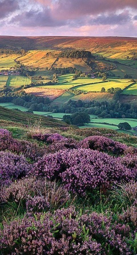 Mariage - Rosedale, North Yorkshire, England
