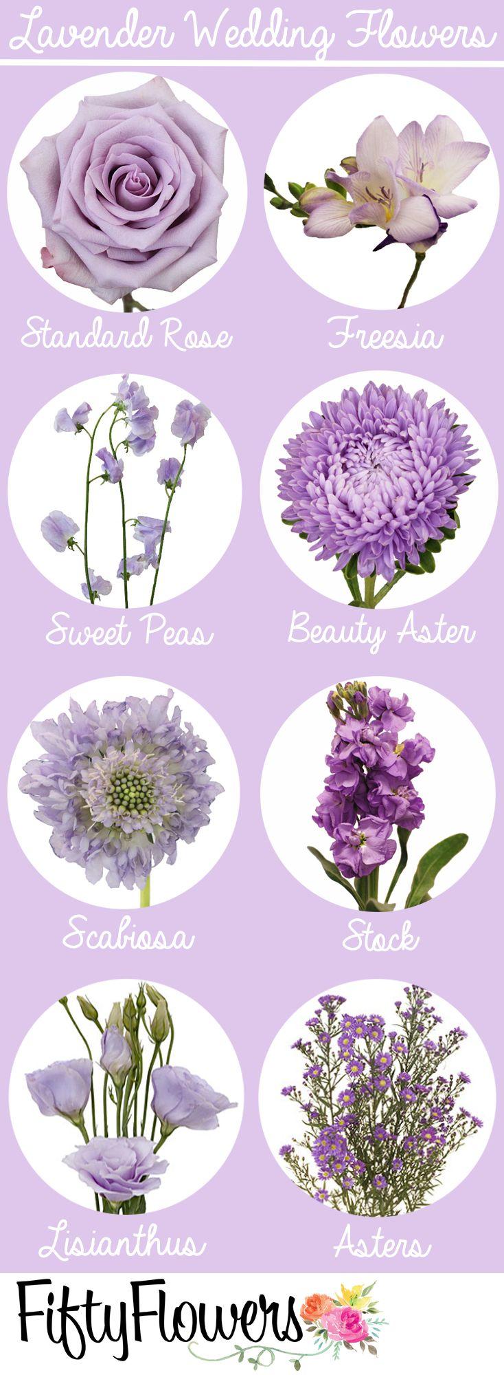 Wedding - 70  Beautiful Purple Flowers (Care & Growing Tips)