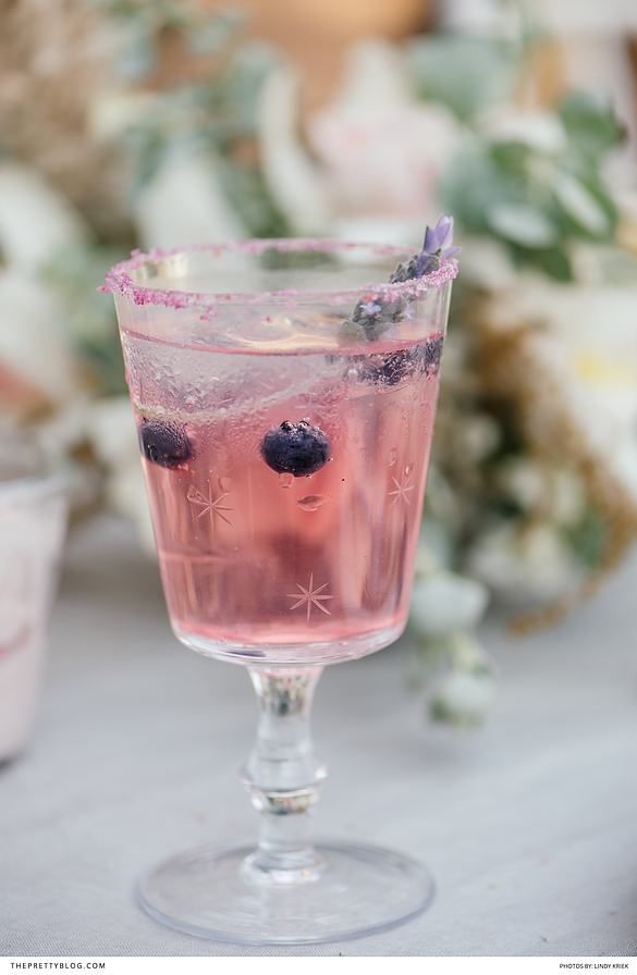 Wedding - Cranberry Blush Gin Cocktail With Mosquito Rose Tonic Water