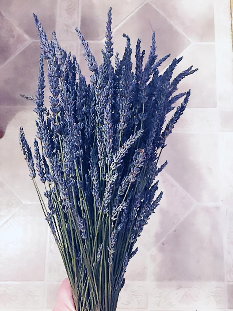 Mariage - SALE Lavender Stems Bunch Bundle Stems 2017 Fragrant dried lavender for bouquets, and weddings Grosso English *BEST SELLER*