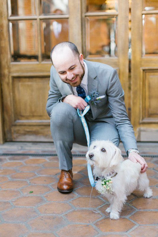 Свадьба - Wedding Pets