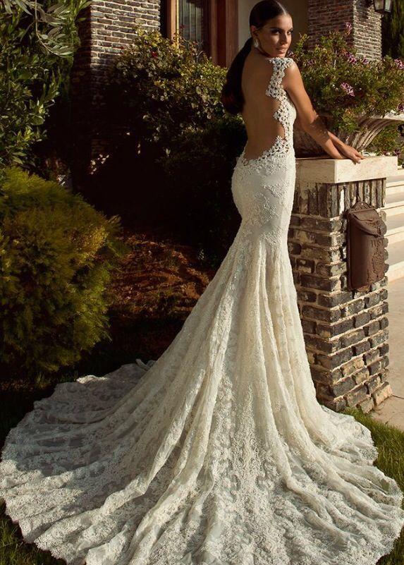 زفاف - Wedding Gowns/Veils