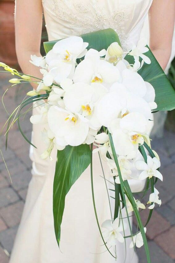 Hochzeit - **THE Bouquet** 