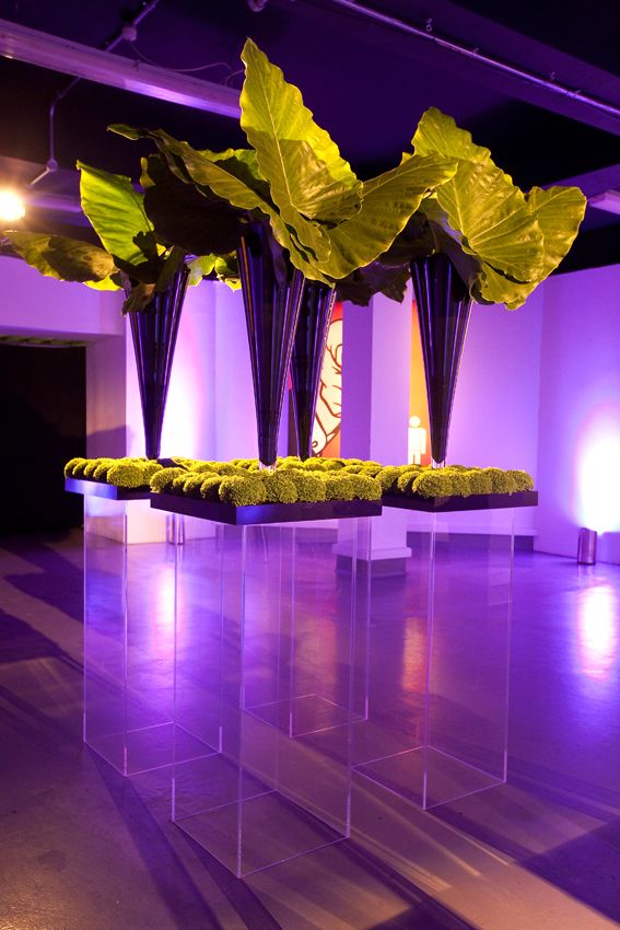 Innovative Ideas For Events At Martha Howard Blog