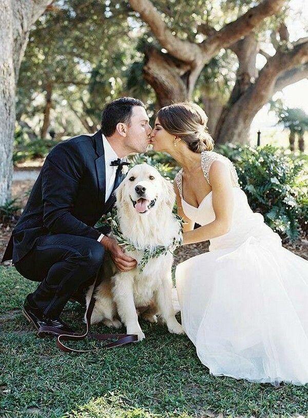 Hochzeit - 18 Precious Wedding Photo Ideas With Your Dogs