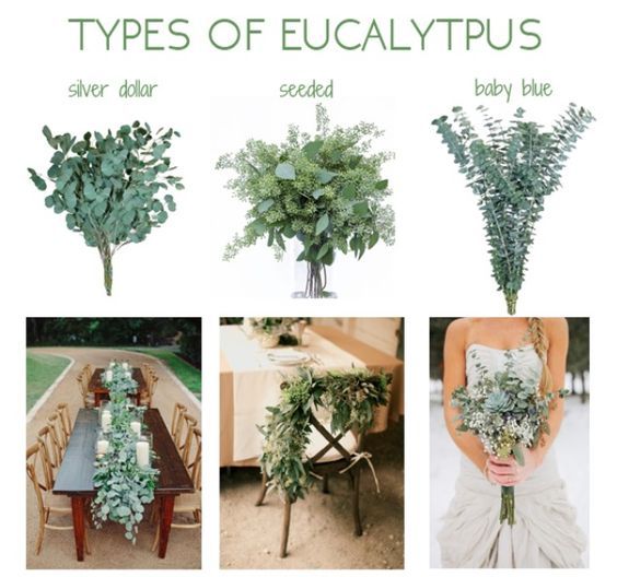 Wedding - Check Out These Ideas To Include Eucalyptus In Your Wedding!