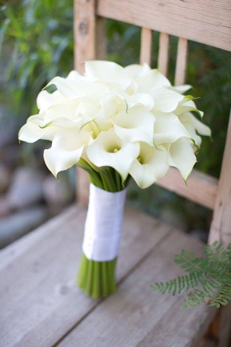 Hochzeit - The Elegant Calla Lily For Your Wedding
