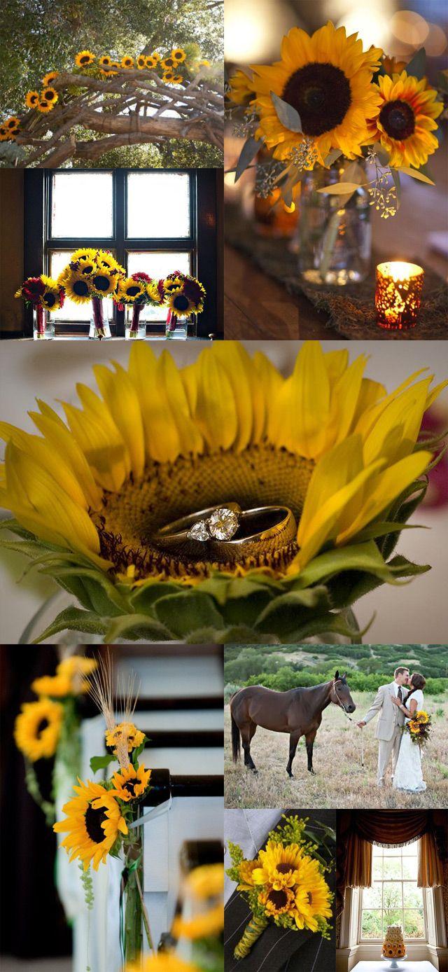 Свадьба - Sunflower Weddings