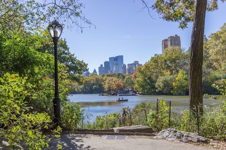 Wedding - How To Get Married In Central Park 