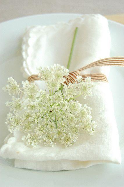 Mariage - Queen Annes Lace 