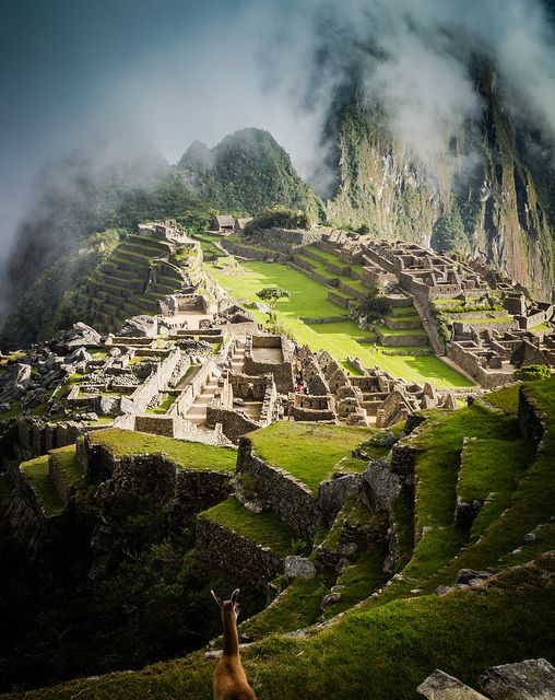 Свадьба - Machu Picchu Llama - Explore