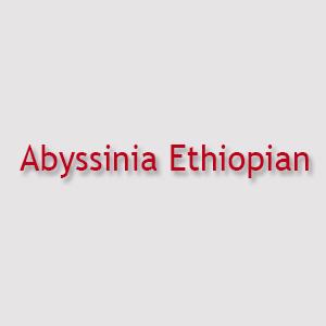 Mariage - Abyssinia Ethiopian Menu, Prices And Locations