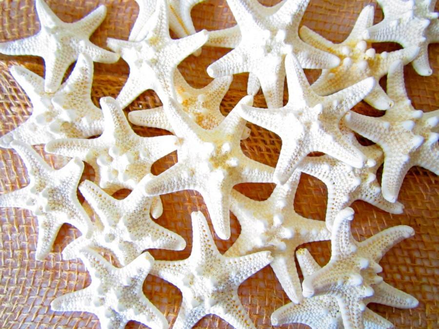 زفاف - Knobby Starfish in 2-3"-qty 10-Bulk Starfish-Beach Wedding-Nautical Decor-Seashell Crafts-Seashells-Starfish-Wedding Favors-Starfish Decor