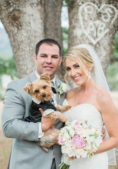 Wedding - Couple   Wedding Pet Tuxedo - Wedding Pet Outfits  {An Inspired Affair} 