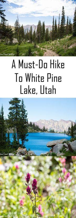 Wedding - A Gorgeous White Pine Lake Hike In The Utah Mountains