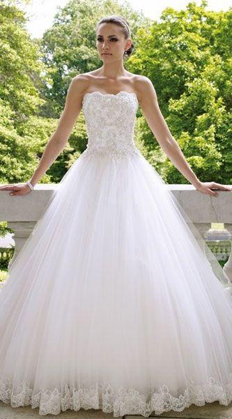 زفاف - Wedding Dress Wedding Dresses 