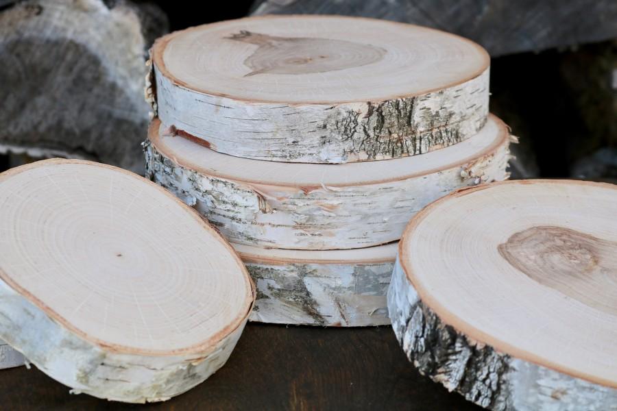 Hochzeit - WHITE BIRCH Slices - Wood Slices - Tree Slices - Natural Wood Stand - Wood Slab - Wood Cake Stand - Slice of Wood - Wild Thing