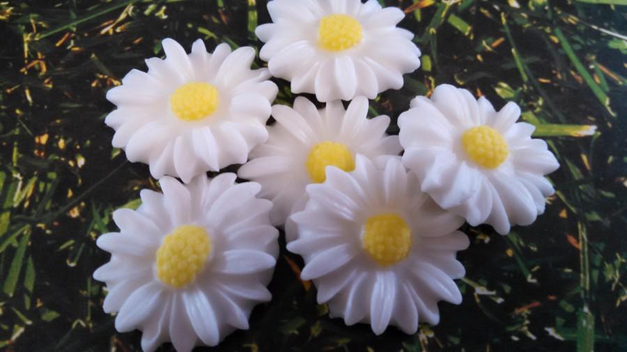Mariage - Edible Fondant Daisies-Fondant Flowers-Set of 12-Fondant Cupcake Toppers-Cake Decorations, Edible Daisy Cake Toppers