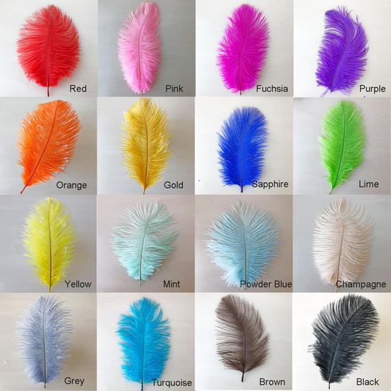زفاف - Ostrich Feather feathery Small body Plumes 6-8 inches Vibrant Color for Dance Costumes Headdress Addition for Themed Gala pack of 10