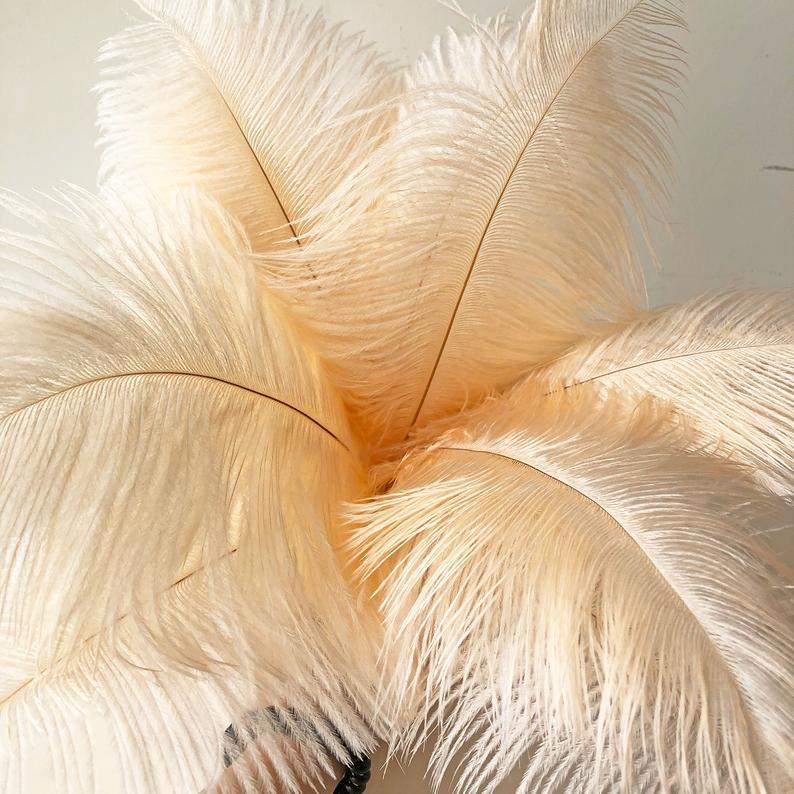 Hochzeit - Champagne Ostrich Feather Fluffy Almond Floral arrangements Feathers for Wedding Party Centerpieces Craft Projects pack of 10