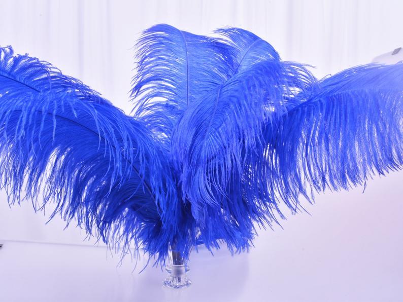 Mariage - Ostrich Feather Vibrant Color Floral arrangements Feathers for Carnival Costumes Wedding Centerpieces Samba headdress pack of 10