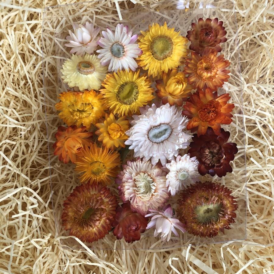 Mariage - Dried StrawFlowers, Real Flowers, Wedding Decorations, Centerpieces, Craft Supplies, Floral Biodegradable, Flower Girl, Floral Crown, Table