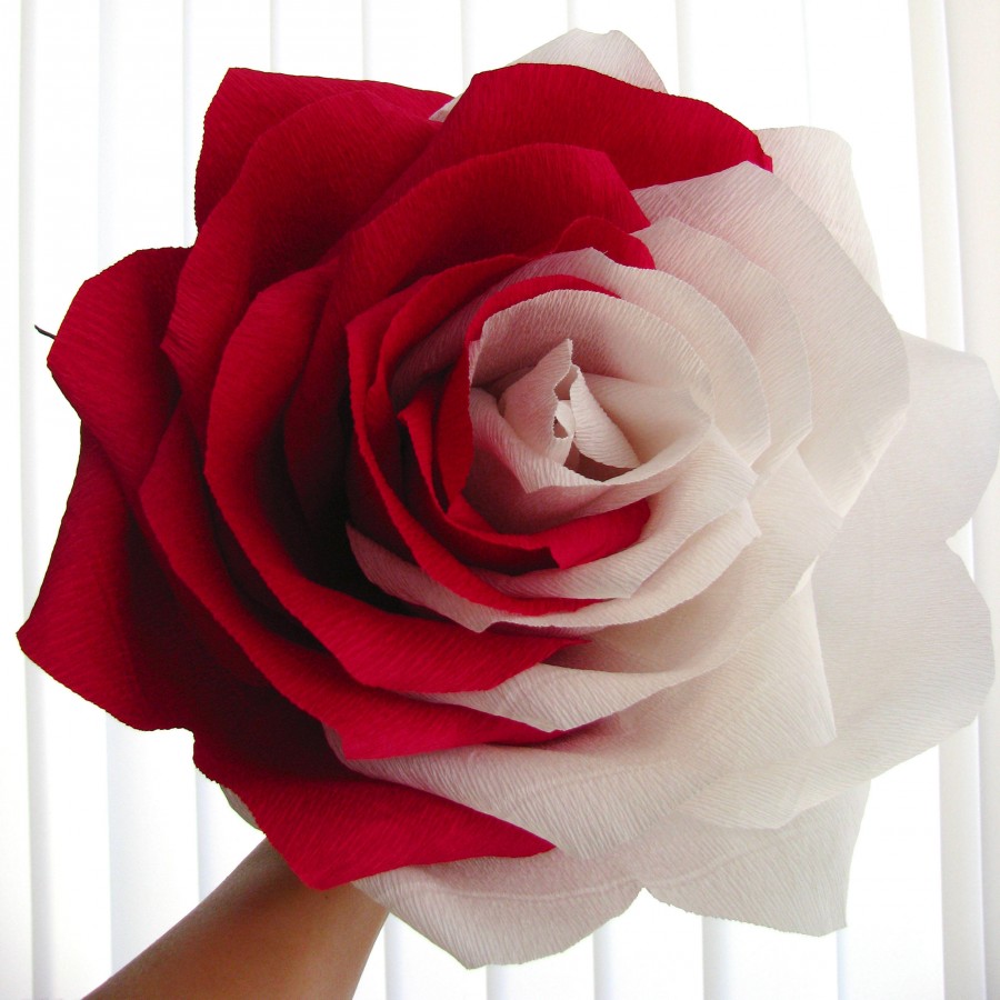 Свадьба - Alice Birthday party decor Giant paper flower Two tone rose Large white red rose Bridal bouquet  big  Anniversay gift
